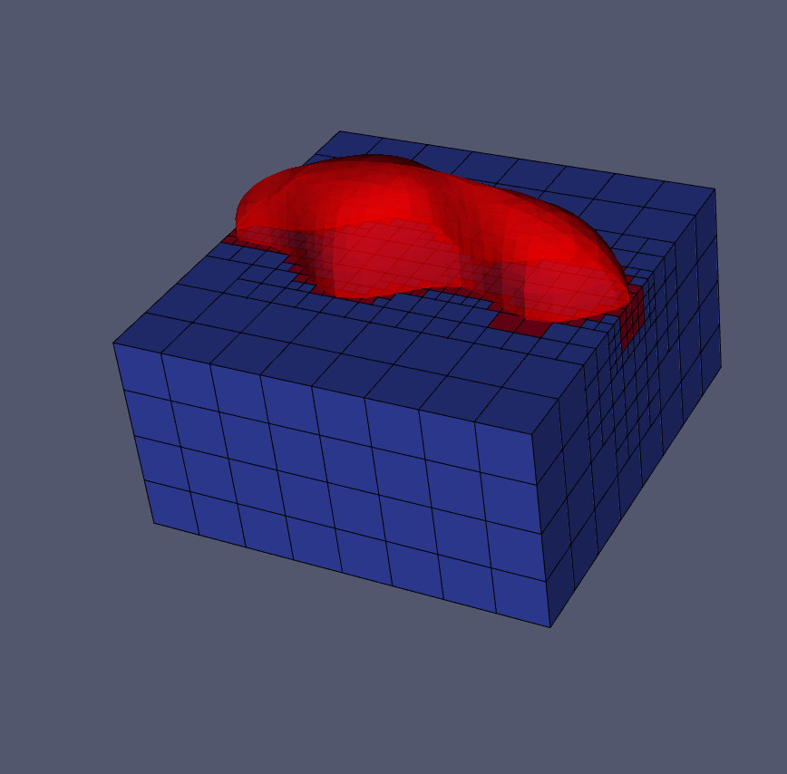 Image for deal.II step-90 TraceFEM example